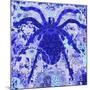 Blue Spider-Teofilo Olivieri-Mounted Giclee Print