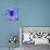 Blue Spider-Teofilo Olivieri-Giclee Print displayed on a wall