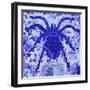 Blue Spider-Teofilo Olivieri-Framed Giclee Print