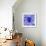 Blue Spider-Teofilo Olivieri-Framed Giclee Print displayed on a wall