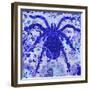 Blue Spider-Teofilo Olivieri-Framed Giclee Print