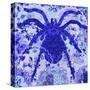 Blue Spider-Teofilo Olivieri-Stretched Canvas