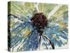 Blue Splash II-Tim OToole-Stretched Canvas