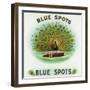 Blue Spots Brand Cigar Box Label-Lantern Press-Framed Art Print