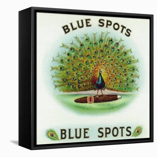 Blue Spots Brand Cigar Box Label-Lantern Press-Framed Stretched Canvas