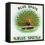 Blue Spots Brand Cigar Box Label-Lantern Press-Framed Stretched Canvas