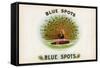 Blue Spots-Art Of The Cigar-Framed Stretched Canvas