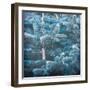 Blue Spruce 2-Kimberly Allen-Framed Photographic Print