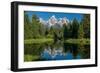 Blue spruce trees and the Grand Tetons, Schwabacher Landing, Grand Teton National Park, Wyoming-Roddy Scheer-Framed Photographic Print