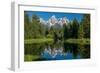 Blue spruce trees and the Grand Tetons, Schwabacher Landing, Grand Teton National Park, Wyoming-Roddy Scheer-Framed Photographic Print