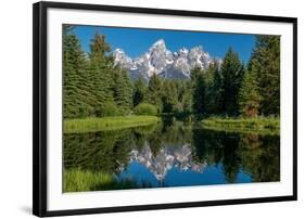 Blue spruce trees and the Grand Tetons, Schwabacher Landing, Grand Teton National Park, Wyoming-Roddy Scheer-Framed Photographic Print