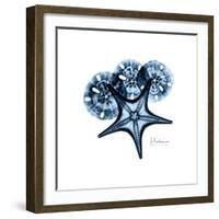 Blue Starfish 1-Albert Koetsier-Framed Premium Giclee Print