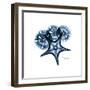 Blue Starfish 1-Albert Koetsier-Framed Premium Giclee Print