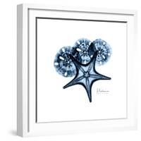 Blue Starfish 1-Albert Koetsier-Framed Premium Giclee Print