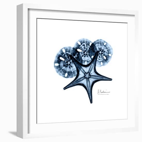 Blue Starfish 1-Albert Koetsier-Framed Premium Giclee Print