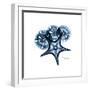 Blue Starfish 1-Albert Koetsier-Framed Premium Giclee Print