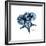 Blue Starfish 1-Albert Koetsier-Framed Premium Giclee Print