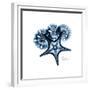 Blue Starfish 1-Albert Koetsier-Framed Premium Giclee Print