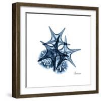 Blue Starfish 2-Albert Koetsier-Framed Premium Giclee Print