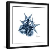 Blue Starfish 2-Albert Koetsier-Framed Premium Giclee Print