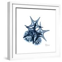 Blue Starfish 2-Albert Koetsier-Framed Premium Giclee Print