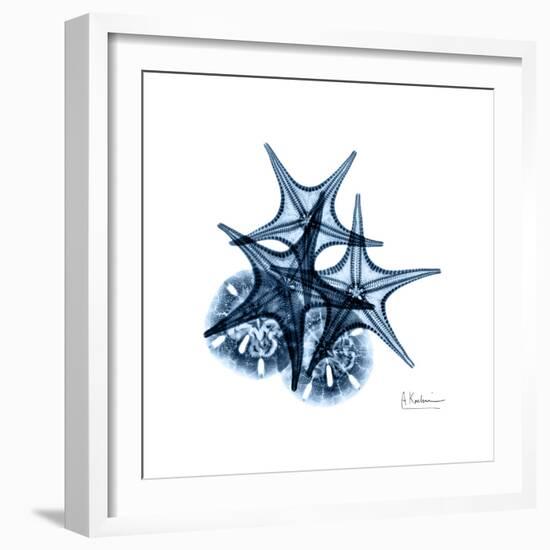 Blue Starfish 2-Albert Koetsier-Framed Premium Giclee Print