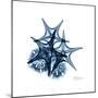 Blue Starfish 2-Albert Koetsier-Mounted Premium Giclee Print