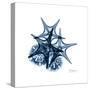 Blue Starfish 2-Albert Koetsier-Stretched Canvas