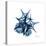 Blue Starfish 2-Albert Koetsier-Stretched Canvas