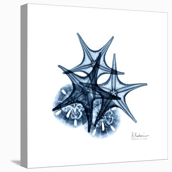 Blue Starfish 2-Albert Koetsier-Stretched Canvas