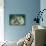 Blue Starfish Underwater-Rich Carey-Mounted Photographic Print displayed on a wall