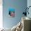 Blue Starfish-Georgette Douwma-Photographic Print displayed on a wall