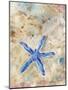 Blue Starfish-LuAnn Roberto-Mounted Art Print