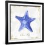Blue Starfish-Eva Watts-Framed Art Print