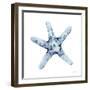 Blue Starfish-Patti Bishop-Framed Art Print