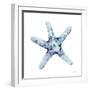 Blue Starfish-Patti Bishop-Framed Art Print