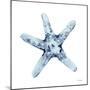 Blue Starfish-Patti Bishop-Mounted Art Print