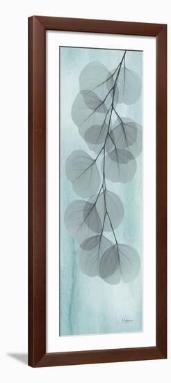 Blue Stone Eucalyptus-Albert Koetsier-Framed Premium Giclee Print