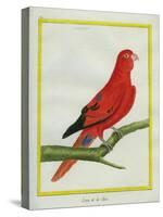 Blue-Streaked Lory-Georges-Louis Buffon-Stretched Canvas