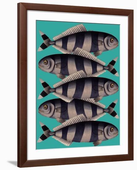 Blue Striped Fish-Fab Funky-Framed Art Print