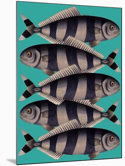 Blue Striped Fish-Fab Funky-Mounted Art Print