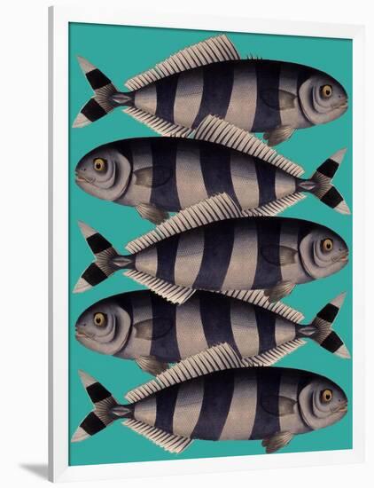 Blue Striped Fish-Fab Funky-Framed Art Print