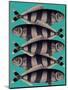 Blue Striped Fish-Fab Funky-Mounted Art Print