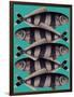 Blue Striped Fish-Fab Funky-Framed Premium Giclee Print