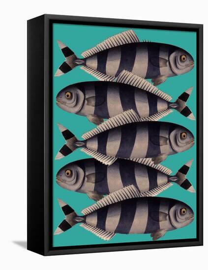 Blue Striped Fish-Fab Funky-Framed Stretched Canvas