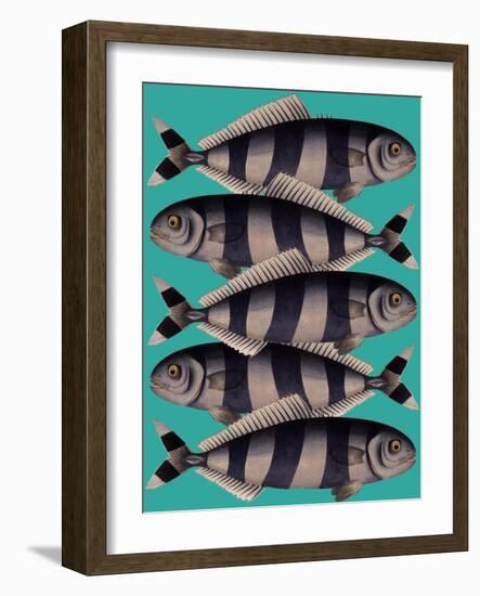 Blue Striped Fish-Fab Funky-Framed Art Print