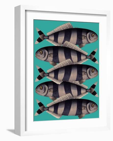 Blue Striped Fish-Fab Funky-Framed Art Print