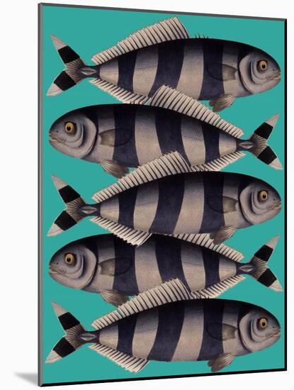 Blue Striped Fish-Fab Funky-Mounted Art Print