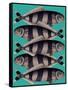 Blue Striped Fish-Fab Funky-Framed Stretched Canvas