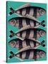 Blue Striped Fish-Fab Funky-Stretched Canvas